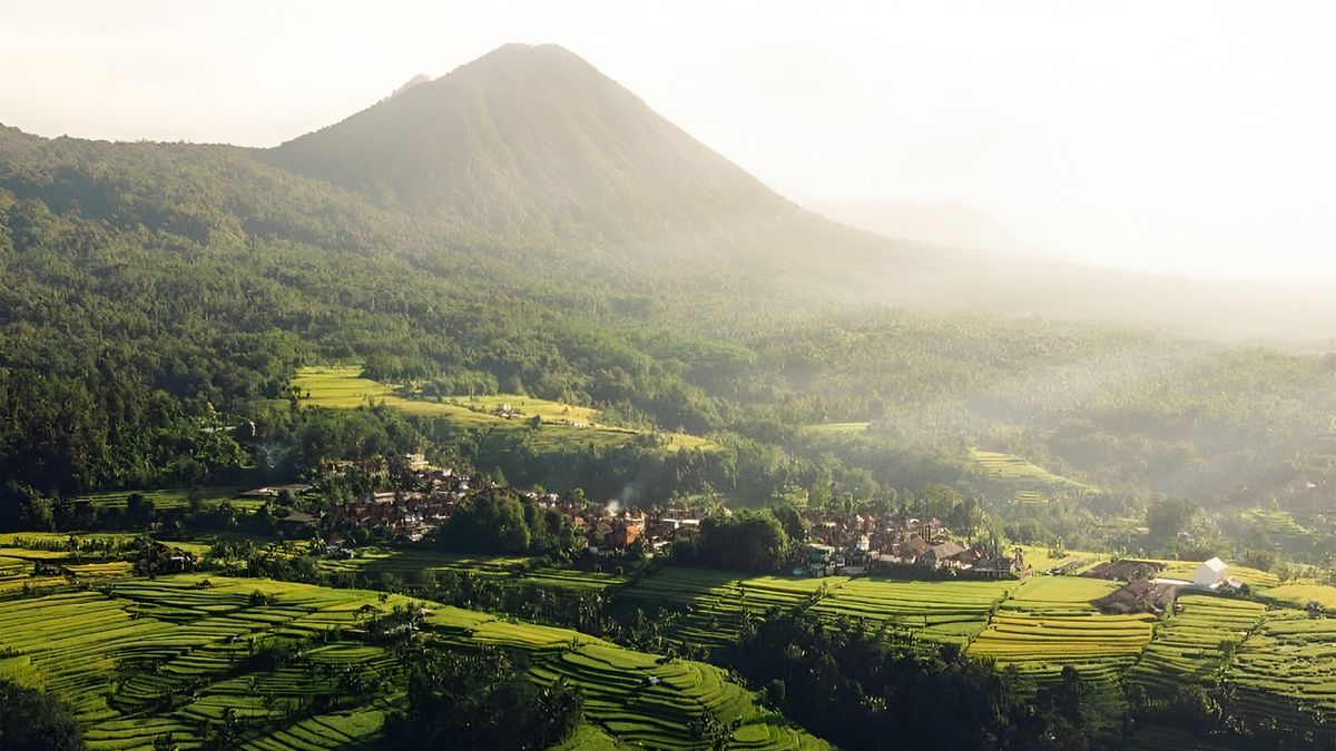 Mount Batukaru Hiking